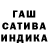 Канабис сатива Explo Chanel
