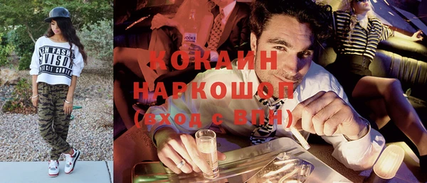 амф Снежногорск