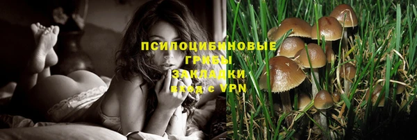 крисы Алексеевка
